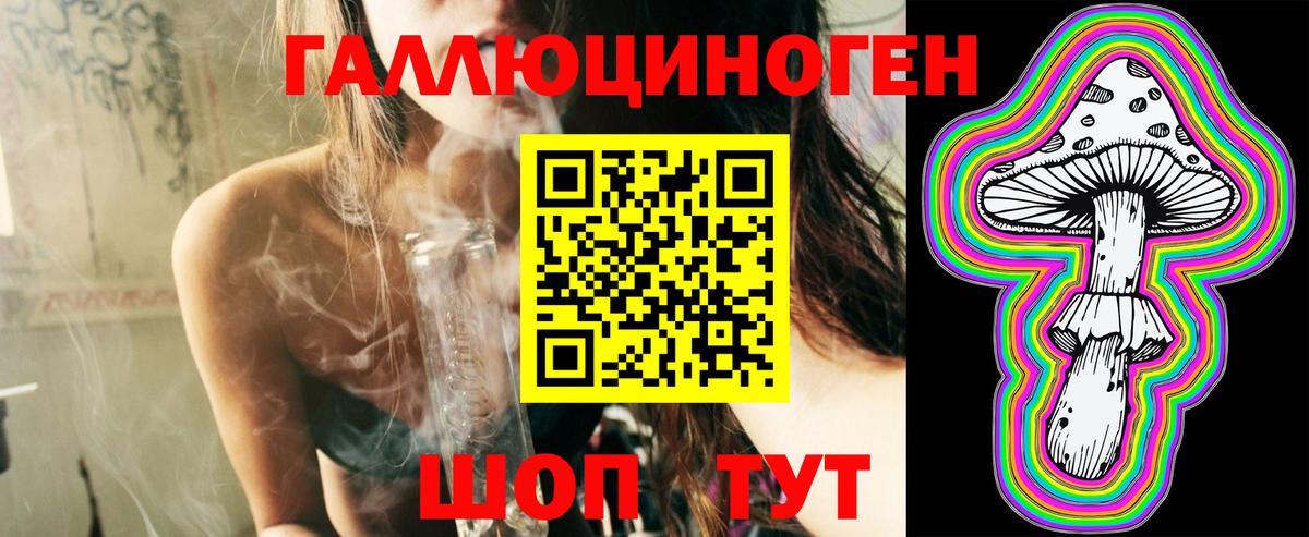Галлюциногенные грибы Cubensis Новозыбков