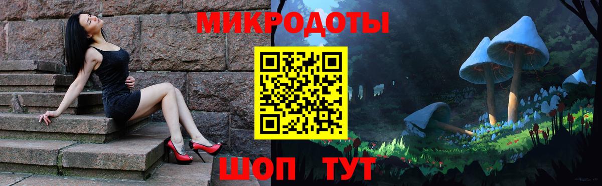 Новозыбков  Псилоцибиновые грибы мухоморы  Вход с VPN 